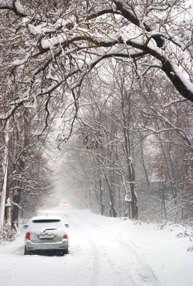 Driving in the snow